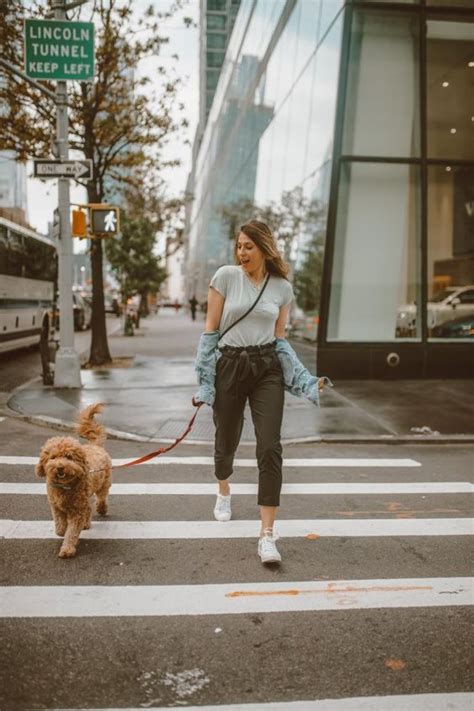 How to Be a Responsible Dog Owner