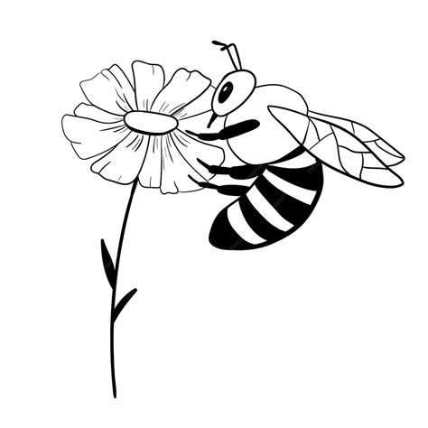 Premium Vector | Honey bee on flower isolated on white Insect in hand ...
