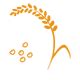 Grain Processing Machine , Grain Mill, Grain Processing Plant - WinTone ...