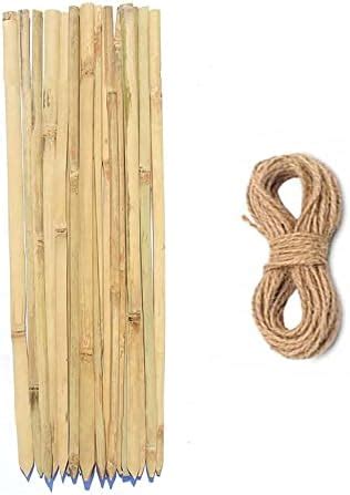 Bamboo Sticks for Plants Support 3 feet (20 Sticks) : Amazon.in: Garden ...