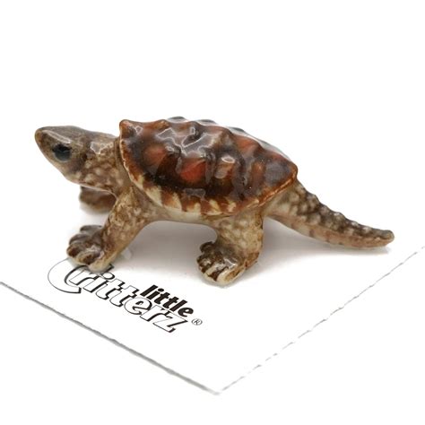 Little Critterz Jaws Snapping Turtle : Amazon.in: Home & Kitchen