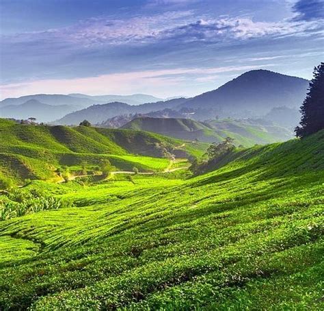 10 BEST Places to Visit in Perak - UPDATED 2022 (with Photos & Reviews ...