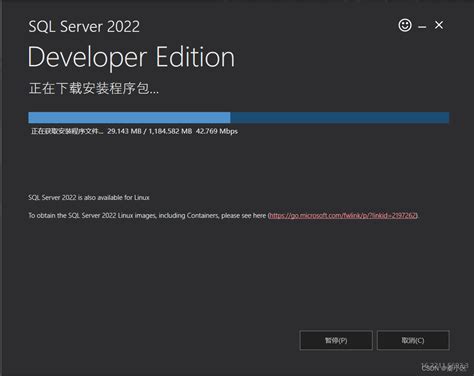 Asp.net 2022 SQL Server 的图像结果