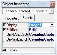 Image result for CAPTCHA Code in Delphi