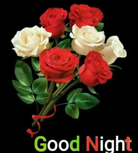 Top 999+ rose flower good night images – Amazing Collection rose flower ...