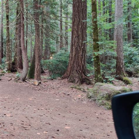 Seal Rock Campground Camping | The Dyrt