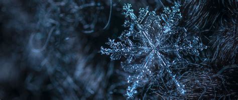 Download wallpaper 2560x1080 snowflake, pattern, structure, ice dual ...