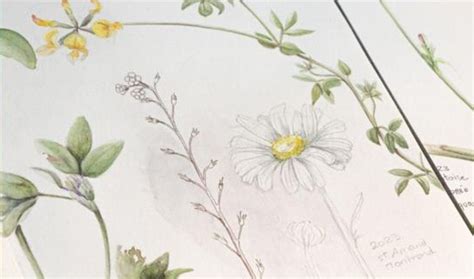 Observer et dessiner la nature en ville, Le Lieu - Poésie des Savoir ...