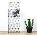 INDIAN DECOR. 21355 Sleek 2 Compartment Wall Magazine Rack Mounted ...