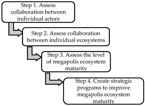 Megapolis as a Symbiosis of Socio-Economic Ecosystems: The Role of ...
