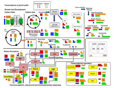 Graphical Abstract Transcriptome 的图像结果