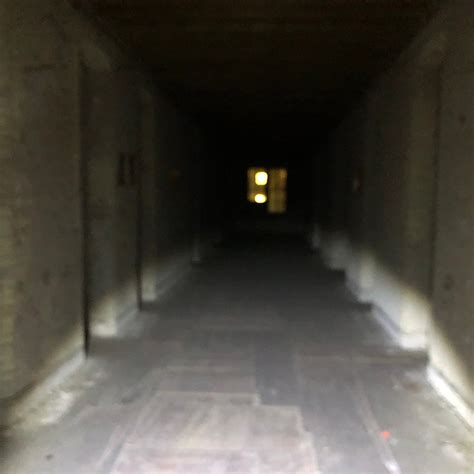 NORTHERN MICHIGAN ASYLUM (Traverse City) - 2022 What to Know BEFORE You Go