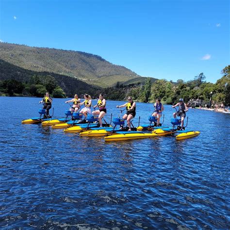 PEDALMORE (Updated 2026) All You Need to Know BEFORE You Go (with Photos)