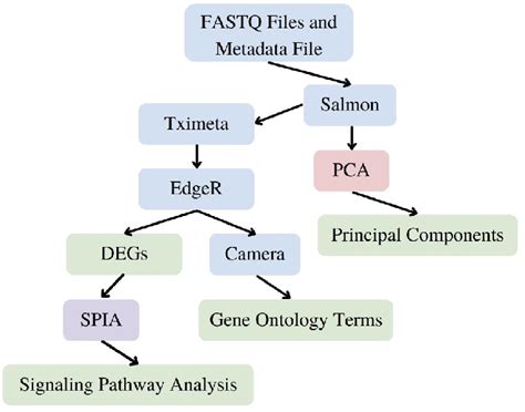 Image result for Computational Model Workflow