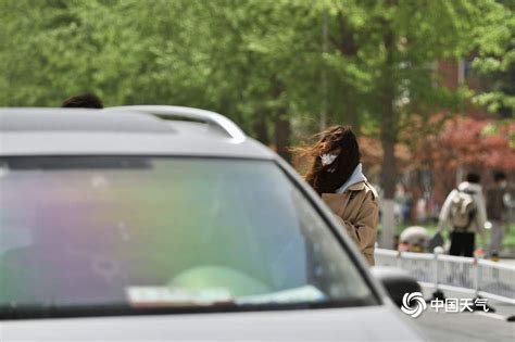 北京大风沙尘呼呼吹 树枝折断车辆倒伏影响出行-天气图集-中国天气网