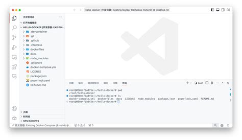 Docker Tutorial VSCode 的图像结果