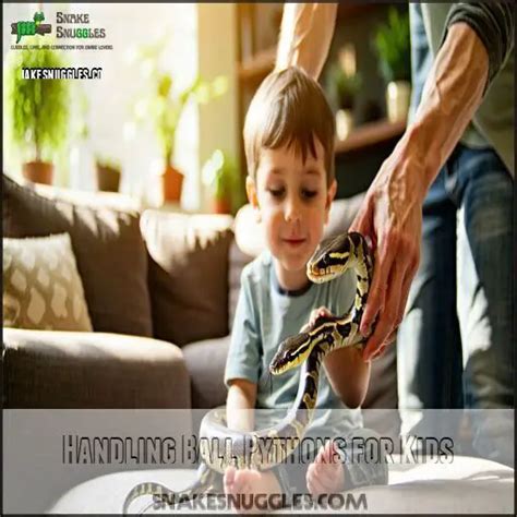 Image result for Handling a Ball Python