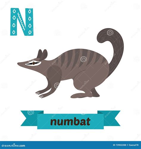 Numbat. N Letter. Cute Children Animal Alphabet in Stock Illustration ...