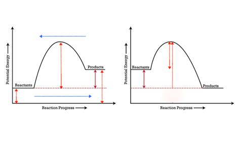 Potential Energy Graphs 的图像结果