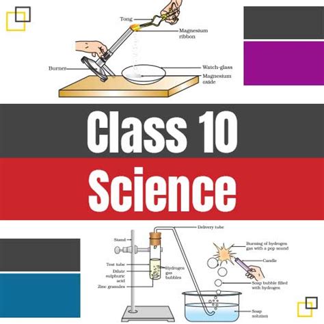 Class 10 Science 的图像结果