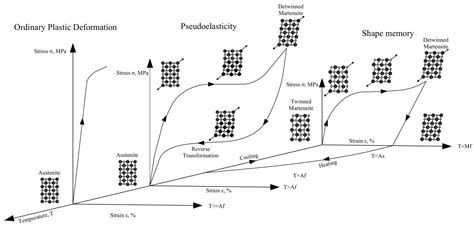 Sustainability of Civil Structures through the Application of Smart ...