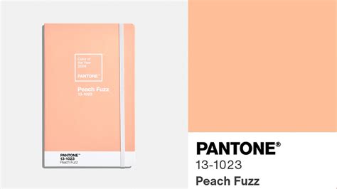 What is the Pantone color of the year? Peach Fuzz named color of the year 2024; What is PANTONE ...