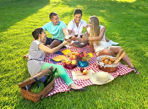 29+ Best Picnic Recipes for Eating Outside | Eat This Not That | Picnic ...