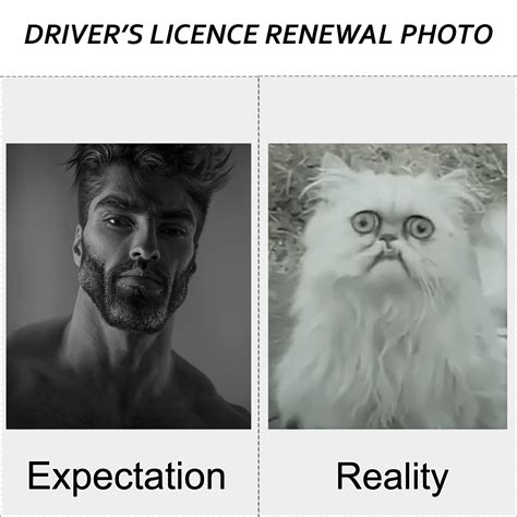 Meme stealing license Meme Generator