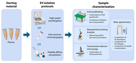 Mass-Spectrometry Based Proteome Comparison of Extracellular Vesicle ...