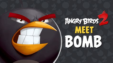 Image result for Angry Bird Exploding