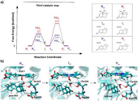 The Catalytic Mechanism of Steroidogenic Cytochromes P450 from All-Atom Simulations: Entwinement ...
