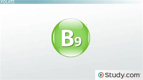 Image result for Folate Water-Soluble