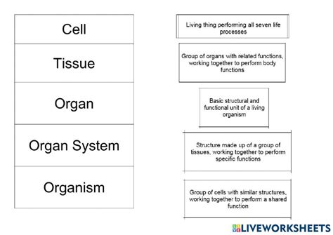 Image result for Function Point Calculation Example