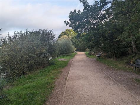 Image result for Nearest Run Thing