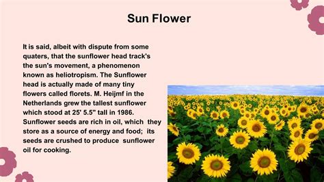 Six amazing facts about flowers | PPTX | Herbs and Supplements ...