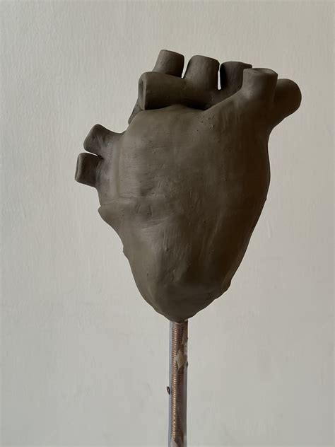 Image result for How to Make Model of Human Heart Using Flour