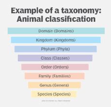 Image result for Taxonomy HTML/JavaScript