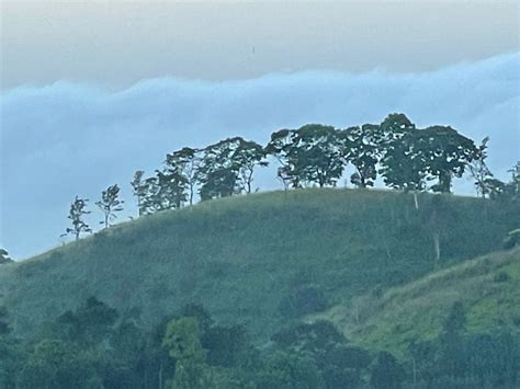 NELINSA RESORT AND SPA (Matale) - Resort Reviews, Photos, Rate ...