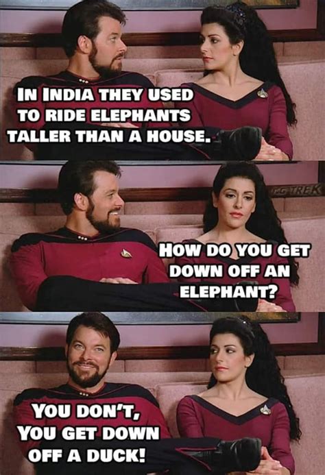 Looks like he's got Down Synonym : r/PunPatrol