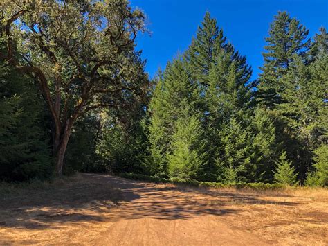 Monte Bello Preserve