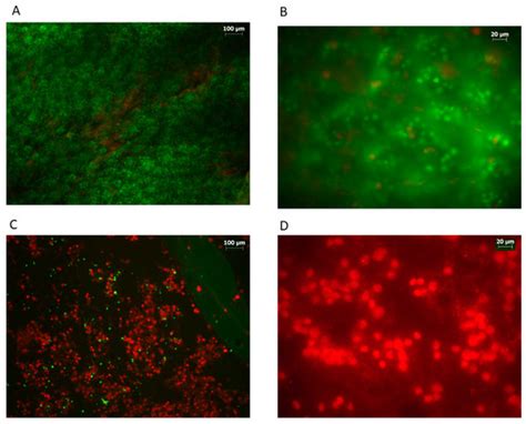 Applied Sciences | Special Issue : Apiculture: Challenges and Opportunities