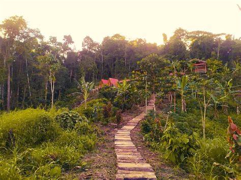 MIRADOR ECOLODGE ILLARI (Puerto Napo) - Cottage Reviews & Photos ...