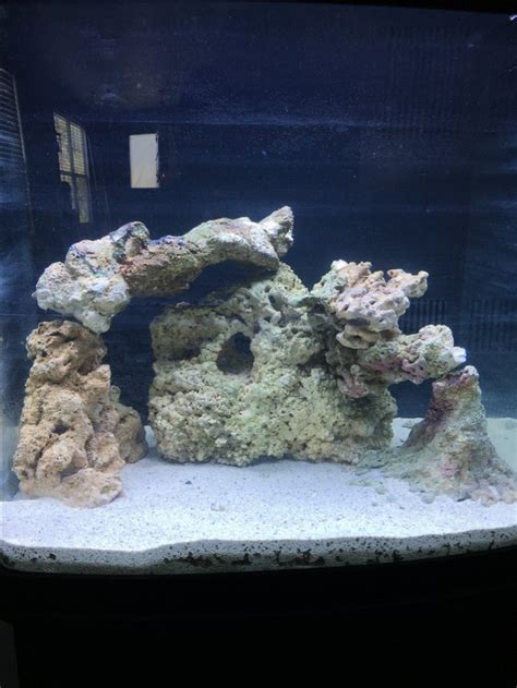 Image result for BioCube Filter Setup