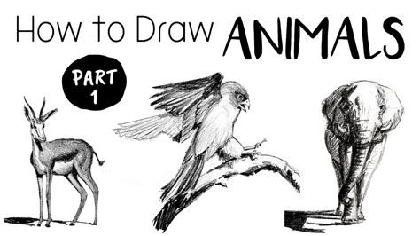 Image result for How to Draw Animals