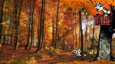 Realistic Fall Backgrounds by 60 Calvin Hobbes Background Wallpapers Saddington Realistic Fall Backgrounds
