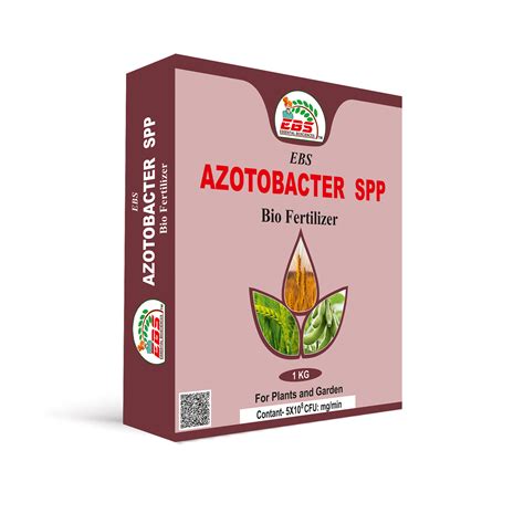 Azotobacter Bio Fertilizer | Nitrogen Fixing Bacteria for Healthy Crops ...