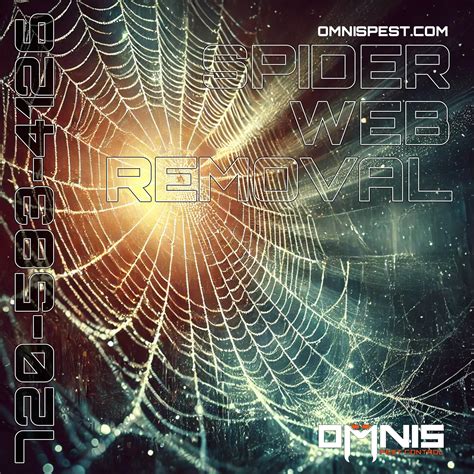 Spider Web Removal 的图像结果