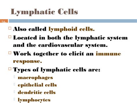 Basic Function of Lymphatic System 的图像结果
