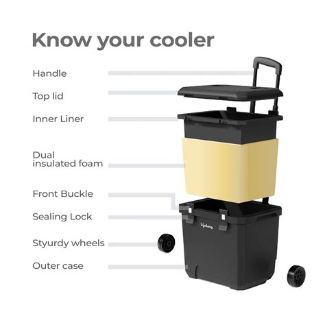 Lifelong Insulated Chiller Ice Box Standard Size for Travel Party Bar ...