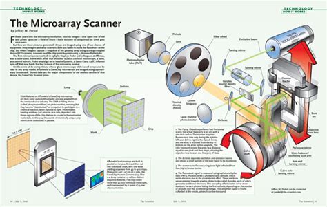 Microarray Core Machine 的图像结果